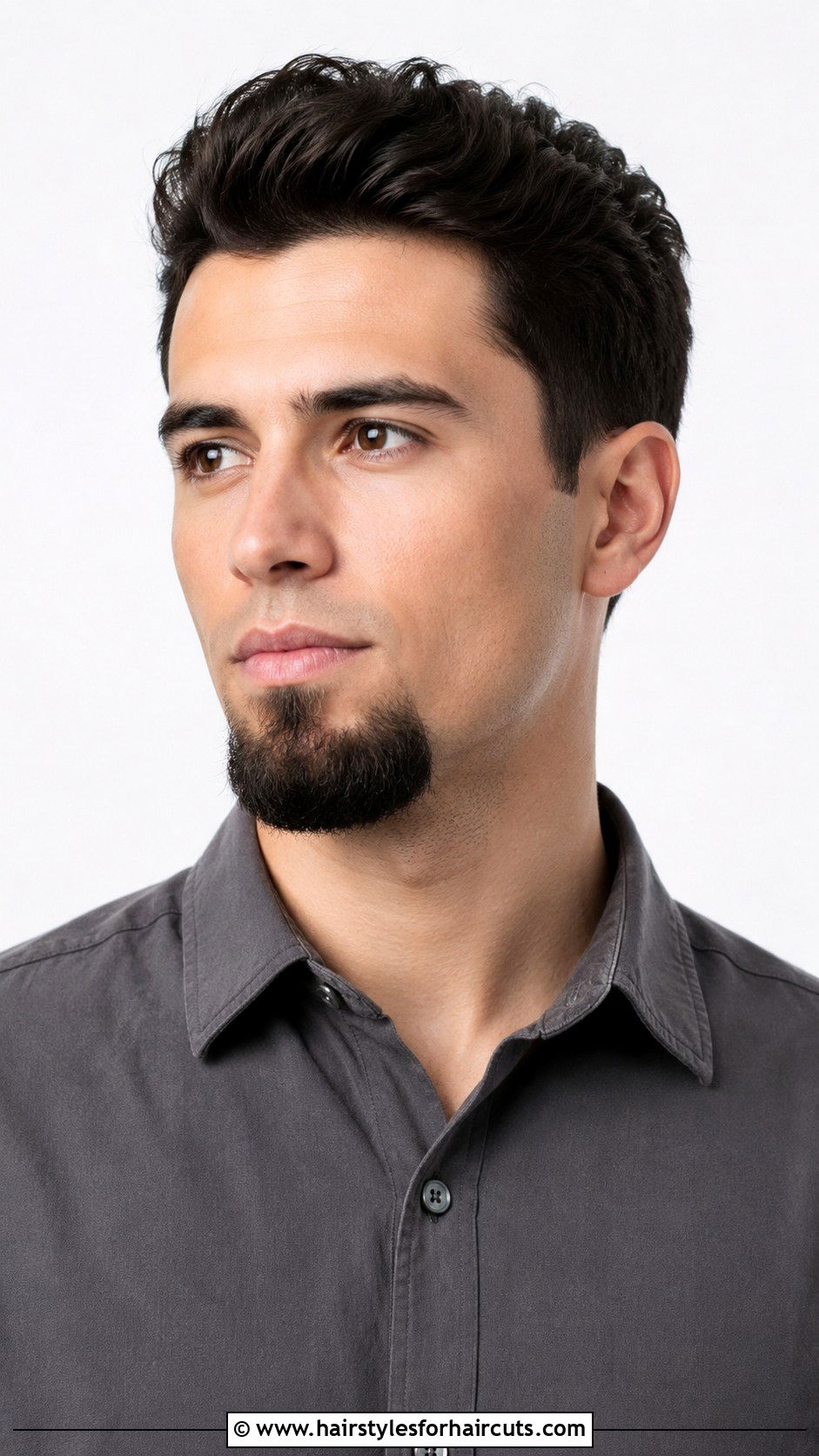 Royale Beard - 25 1800s facial hairstyles - 25 1800s facial hairstyles
