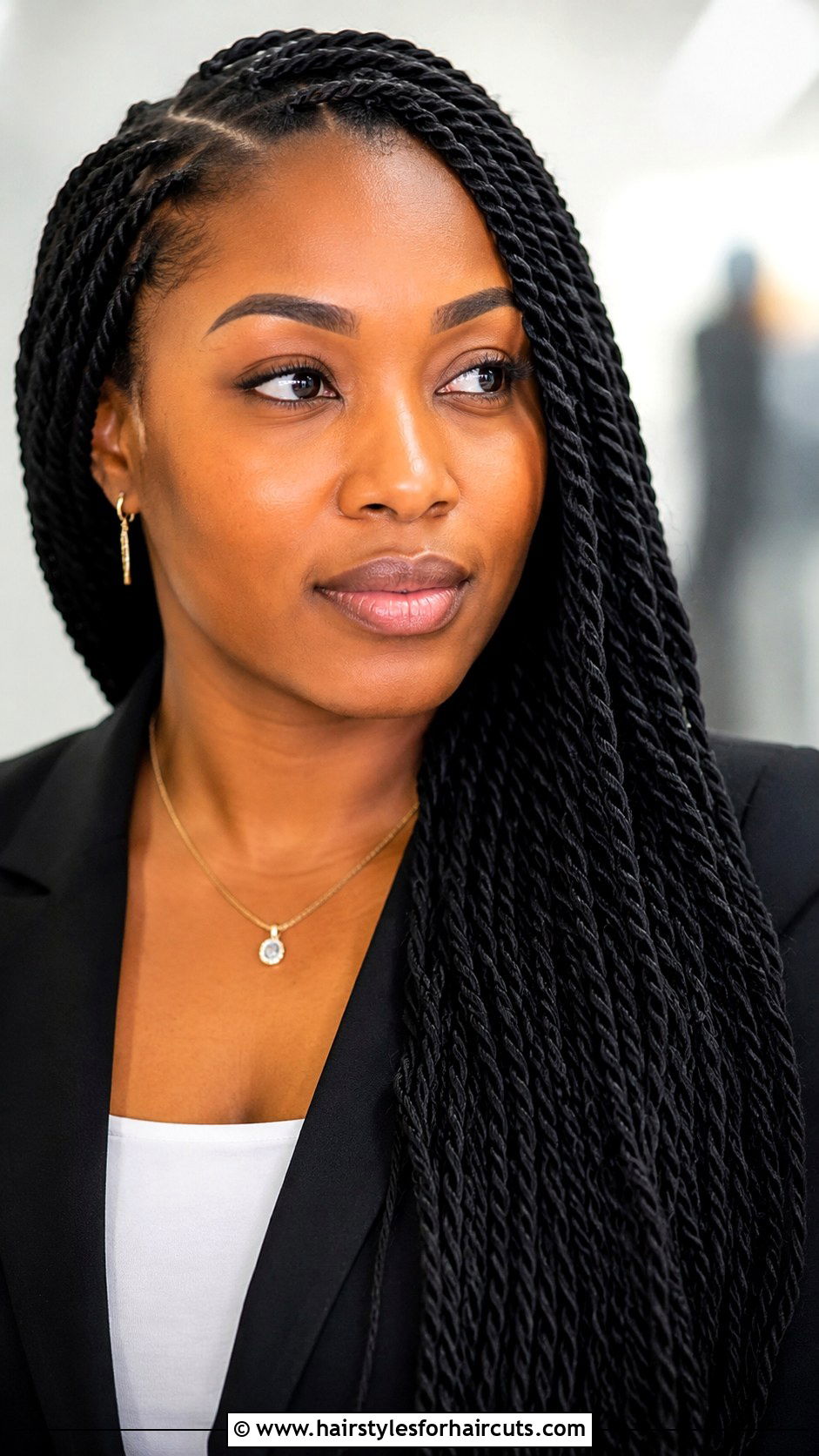 Senegalese Twist - 25 braiding hairstyles - 25 braiding hairstyles