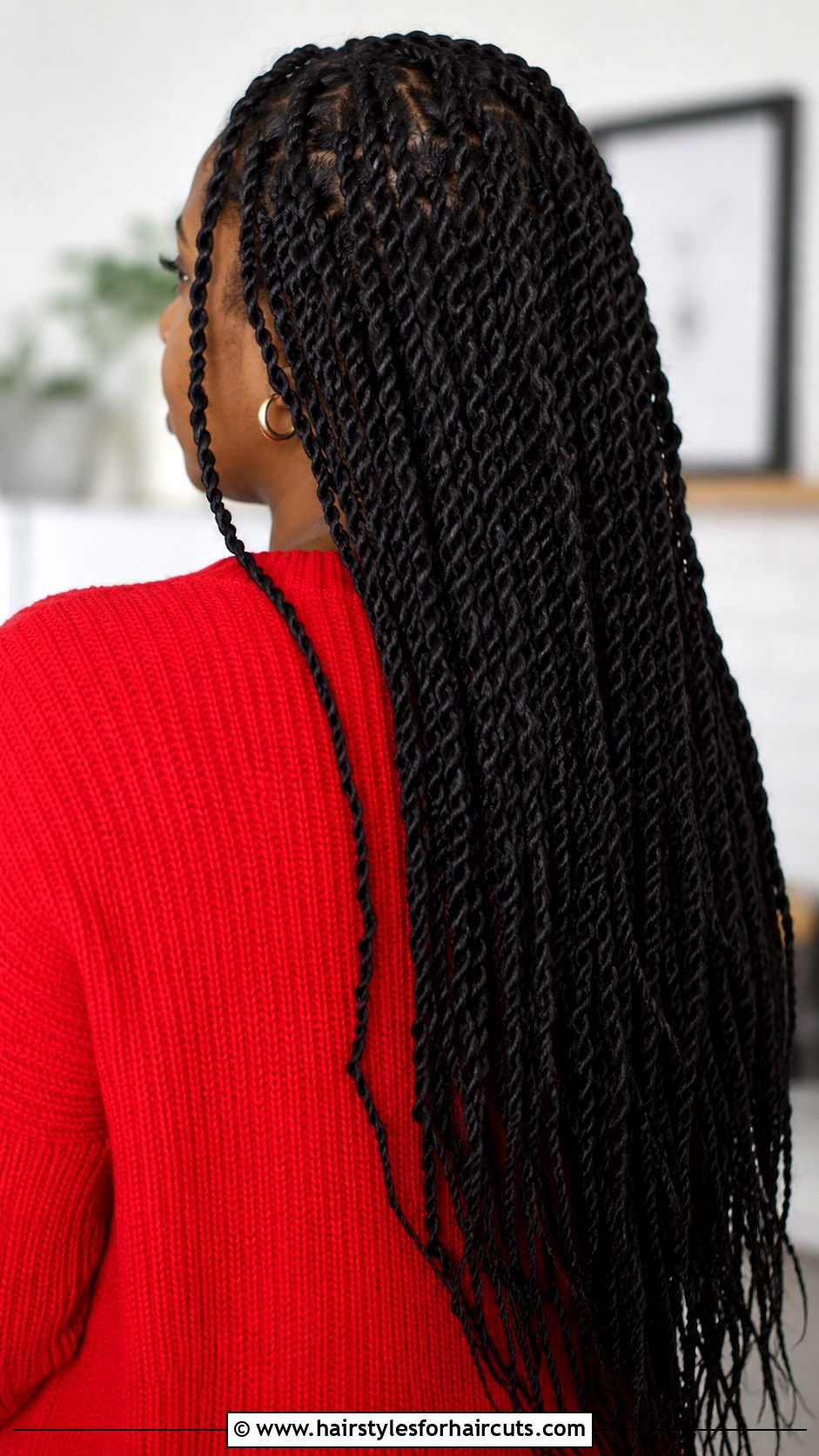 Senegalese Twists - 25 easy hairstyles for black hair - 25 easy hairstyles for black hair
