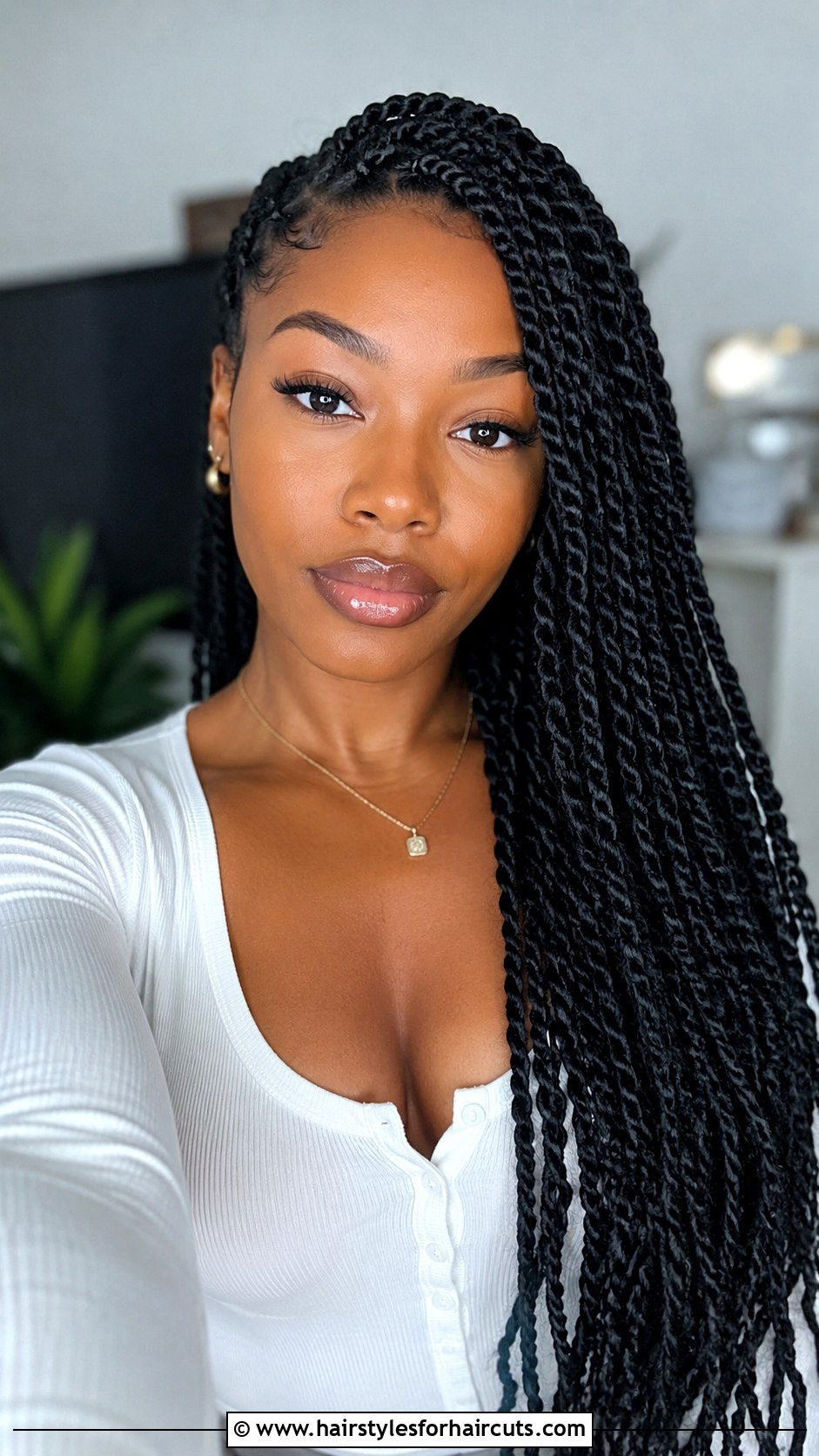 Senegalese Twists Hairstyle - 25 black people hairstyles natural hair - 25 black people hairstyles natural hair