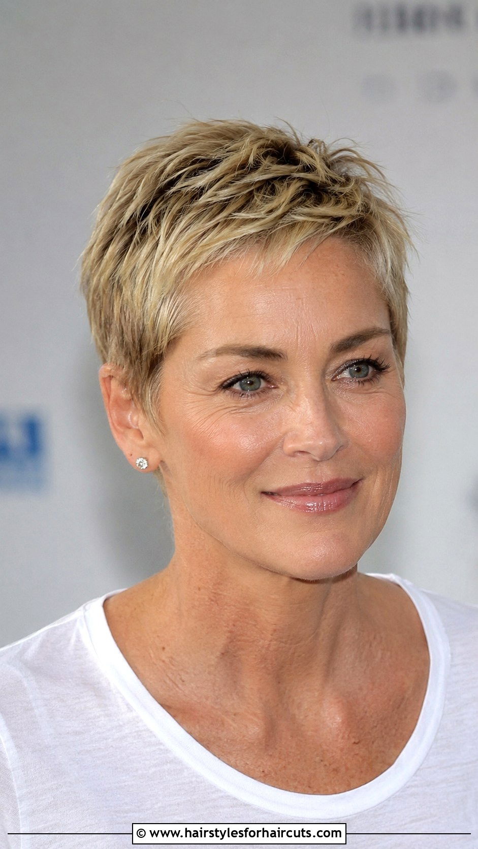 Sharon Stone Cropped Pixie Cut - 25 sharon stone hairstyles short hair - 25 sharon stone hairstyles short hair