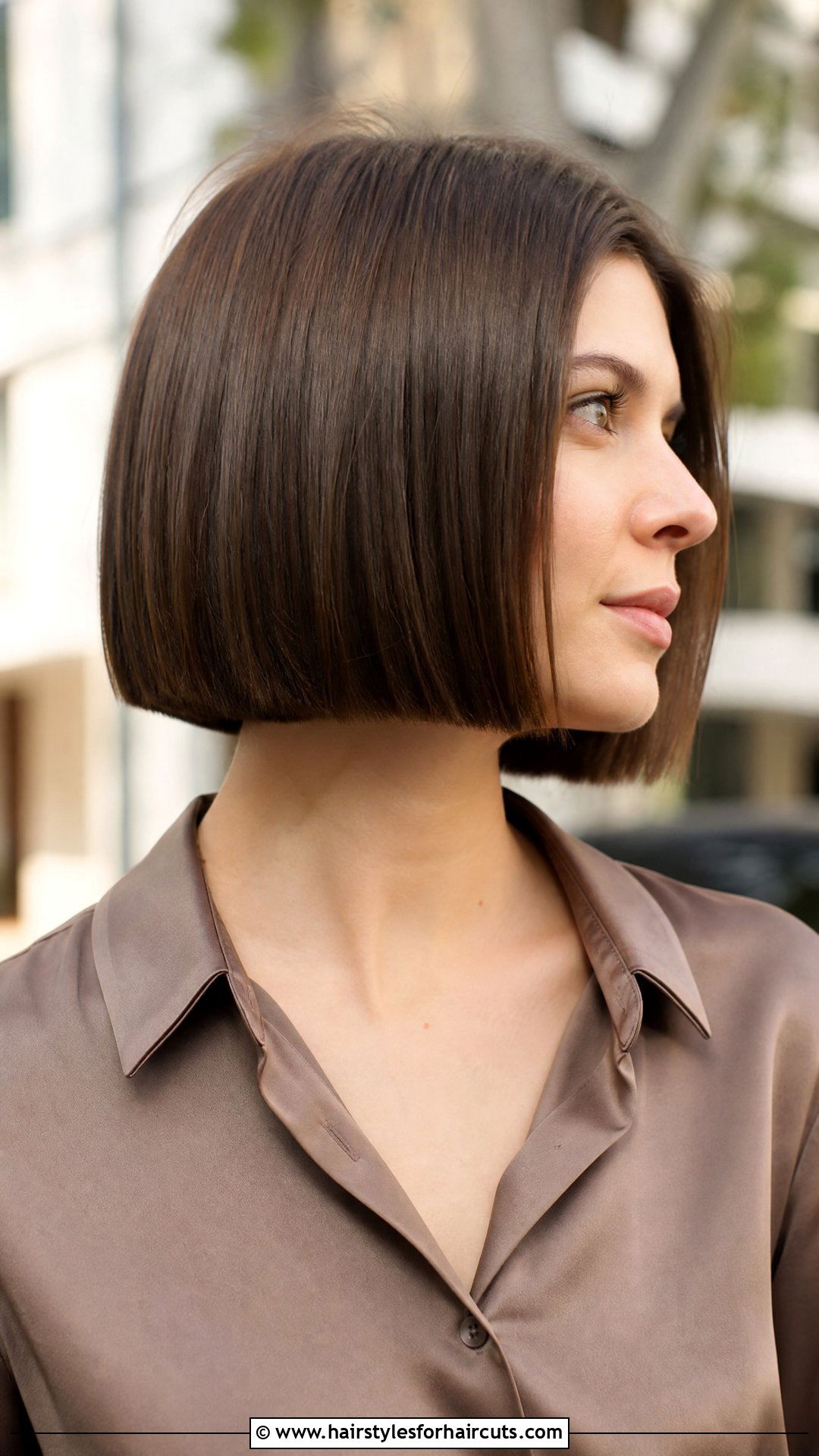 Short A Line Brown Bob - 25 short brown hairstyles - 25 short brown hairstyles