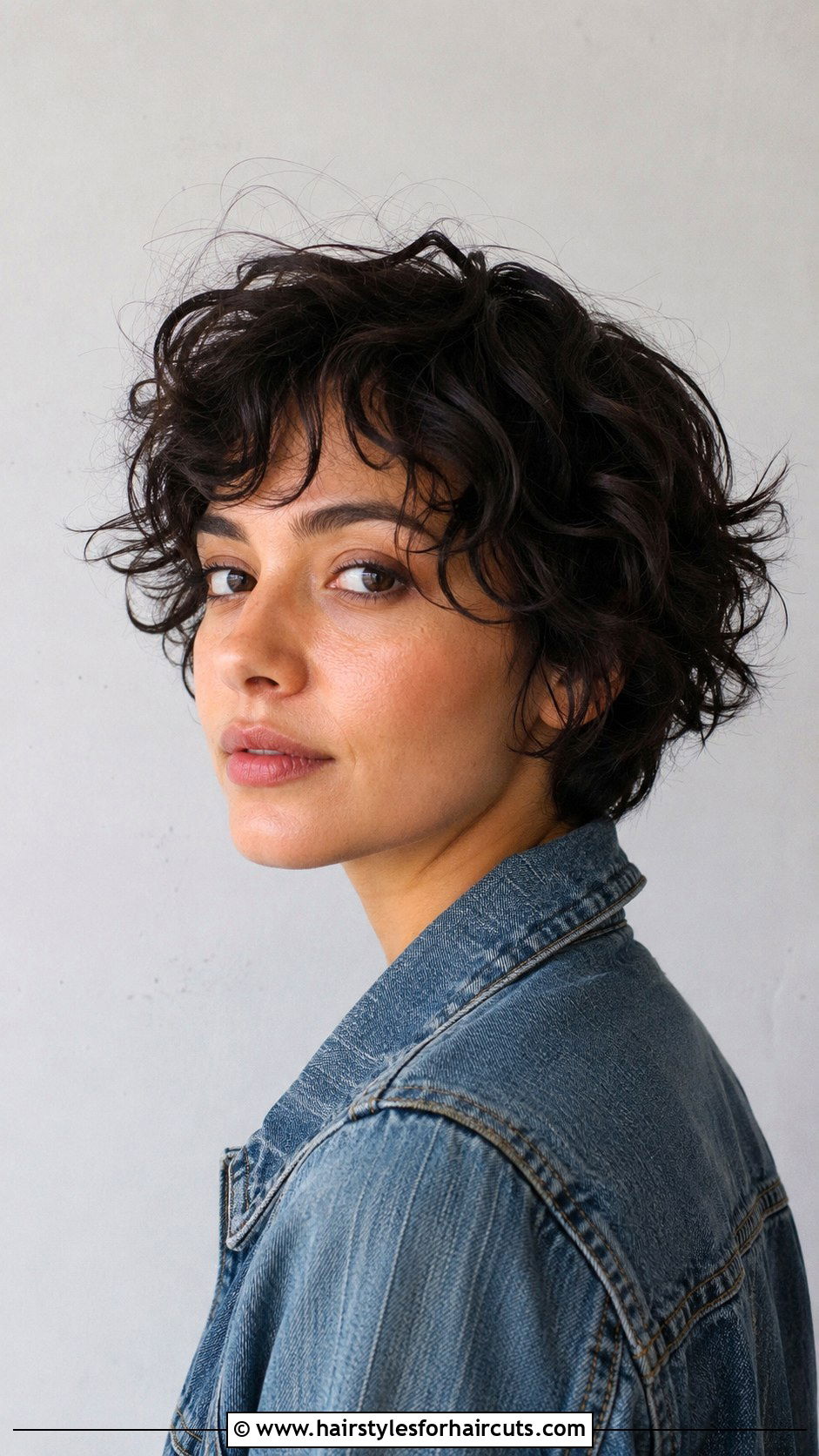 Short Curly Shag Haircut - 25 2c 3a curly haircuts - 25 2c 3a curly haircuts