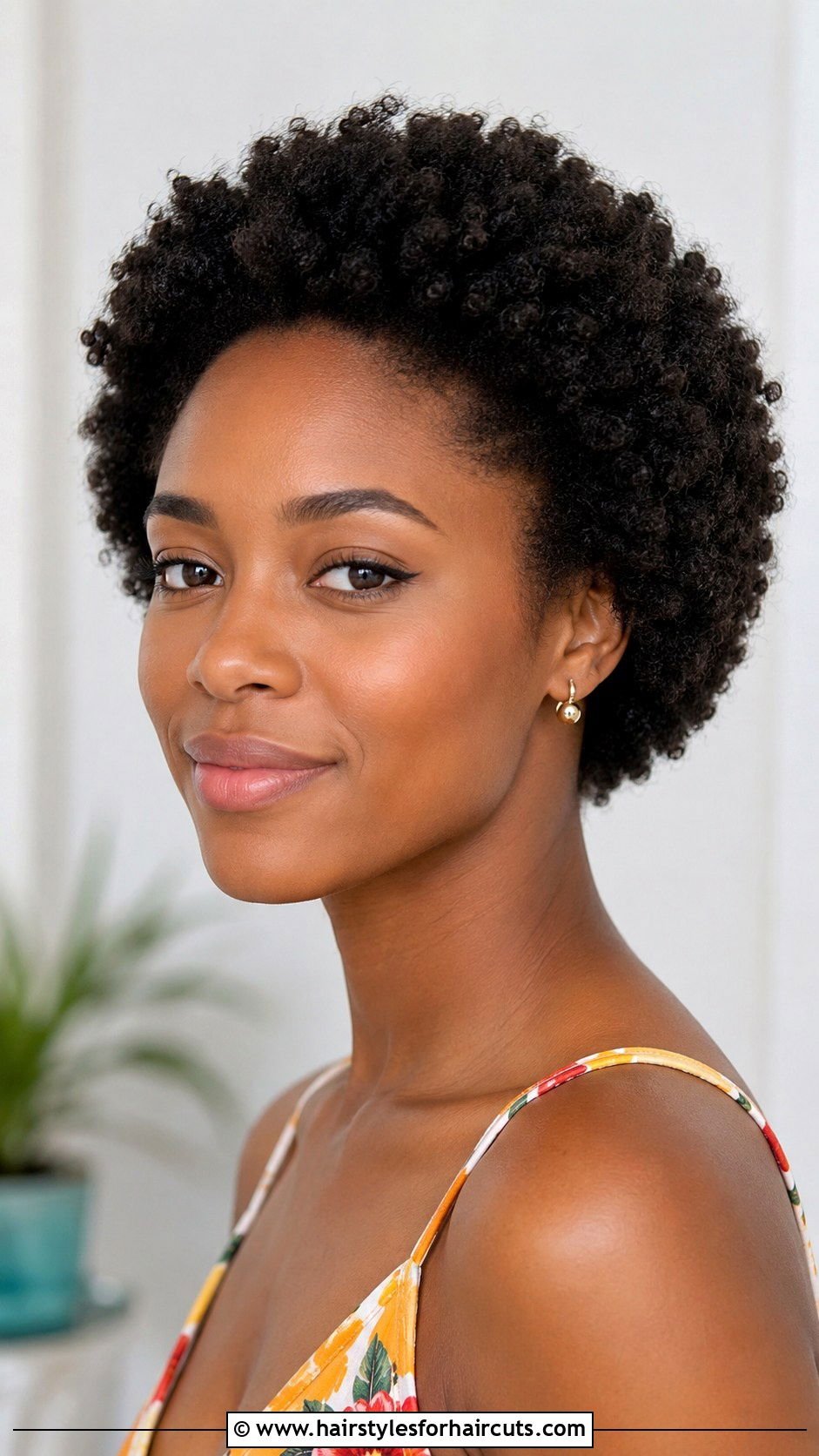 Short Natural Curly Afro - 25 curly hairstyles for short hair - 25 curly hairstyles for short hair
