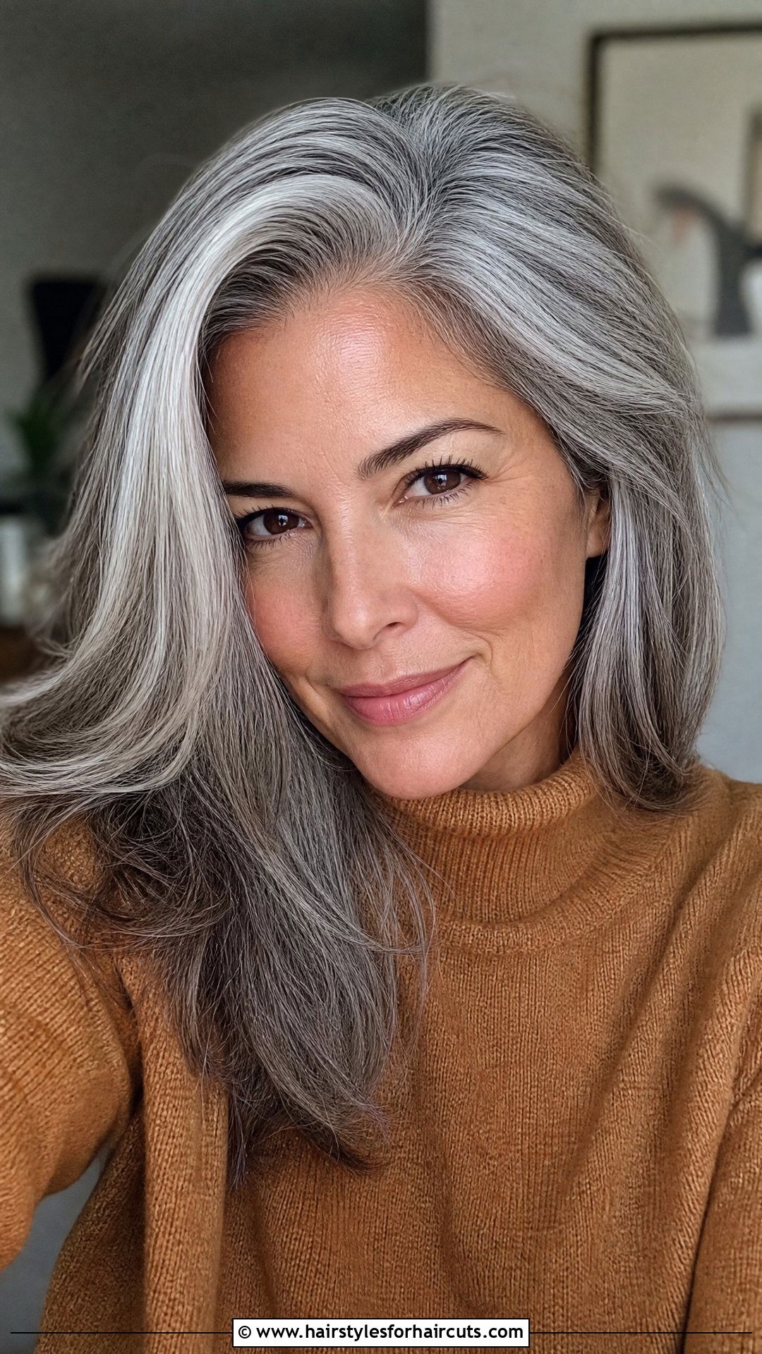 Silver Gray Hair Transition - 25 women hairstyles over 60 - 25 women hairstyles over 60