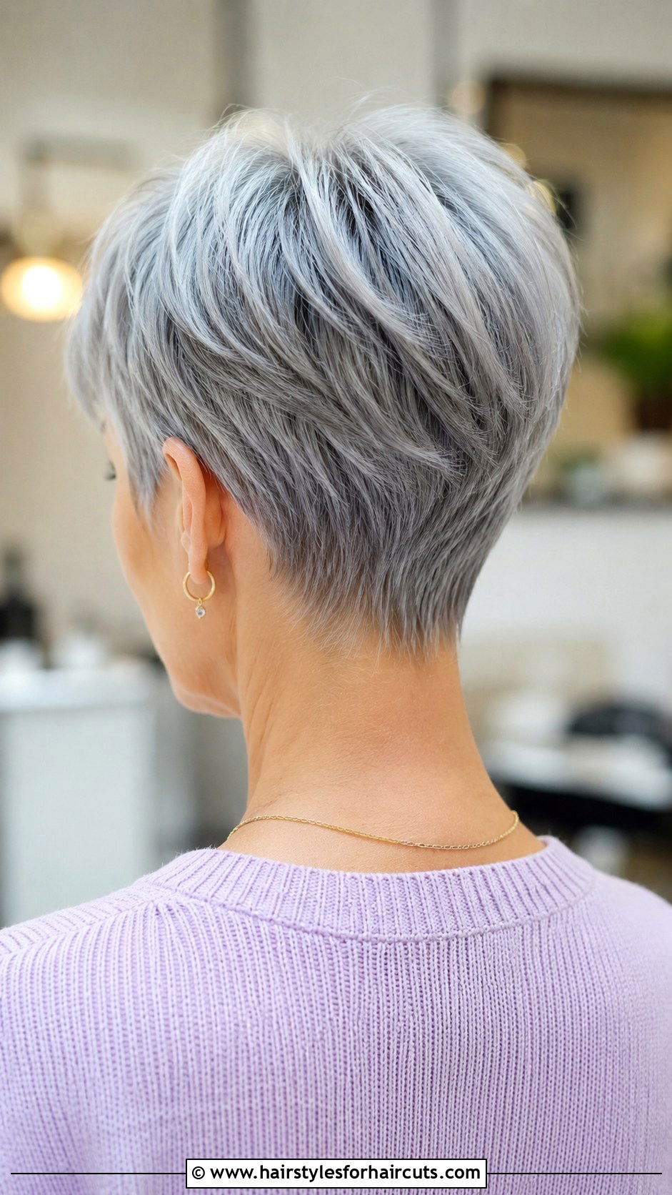 Silver Grey Pixie Back View - 25 pixie haircuts back view - 25 pixie haircuts back view