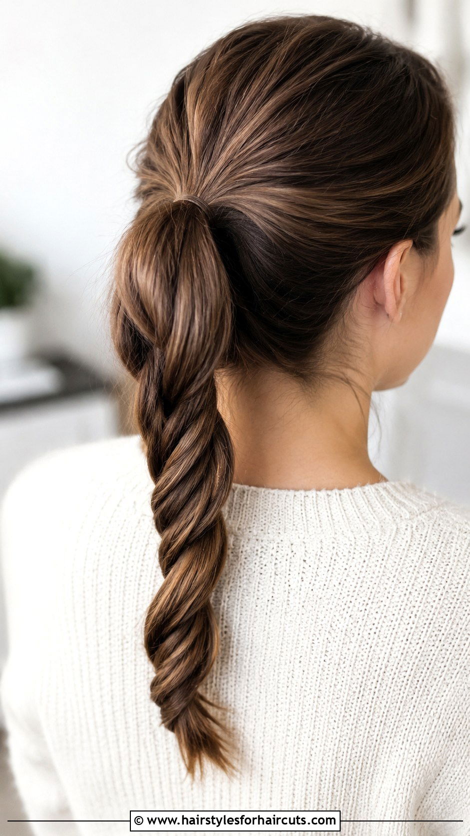 Simple Rope Braid Ponytail Hairstyle - 25 hairstyles easy to do - 25 hairstyles easy to do