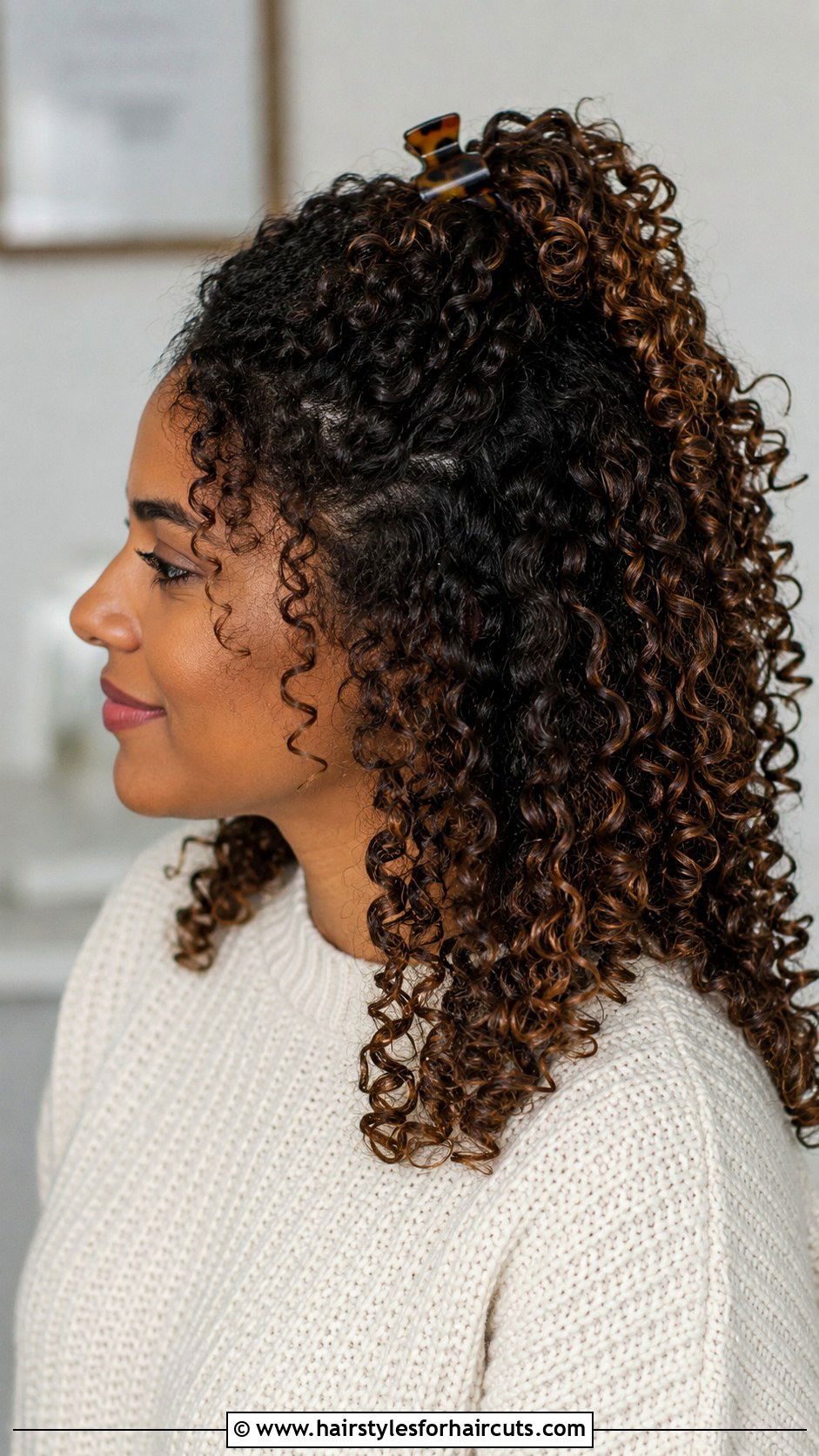 Snap Clip Curly Half Up - 25 easy hair clip hairstyles - 25 easy hair clip hairstyles