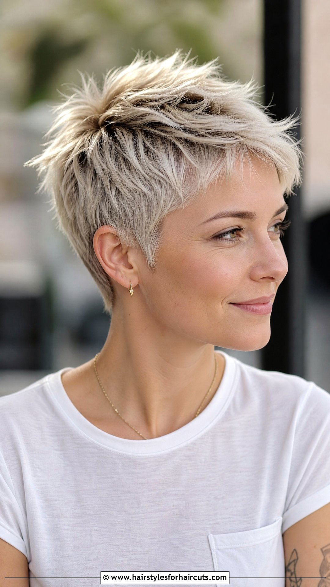 Spiky Pixie Cut - 25 porcupine hairstyles - 25 porcupine hairstyles