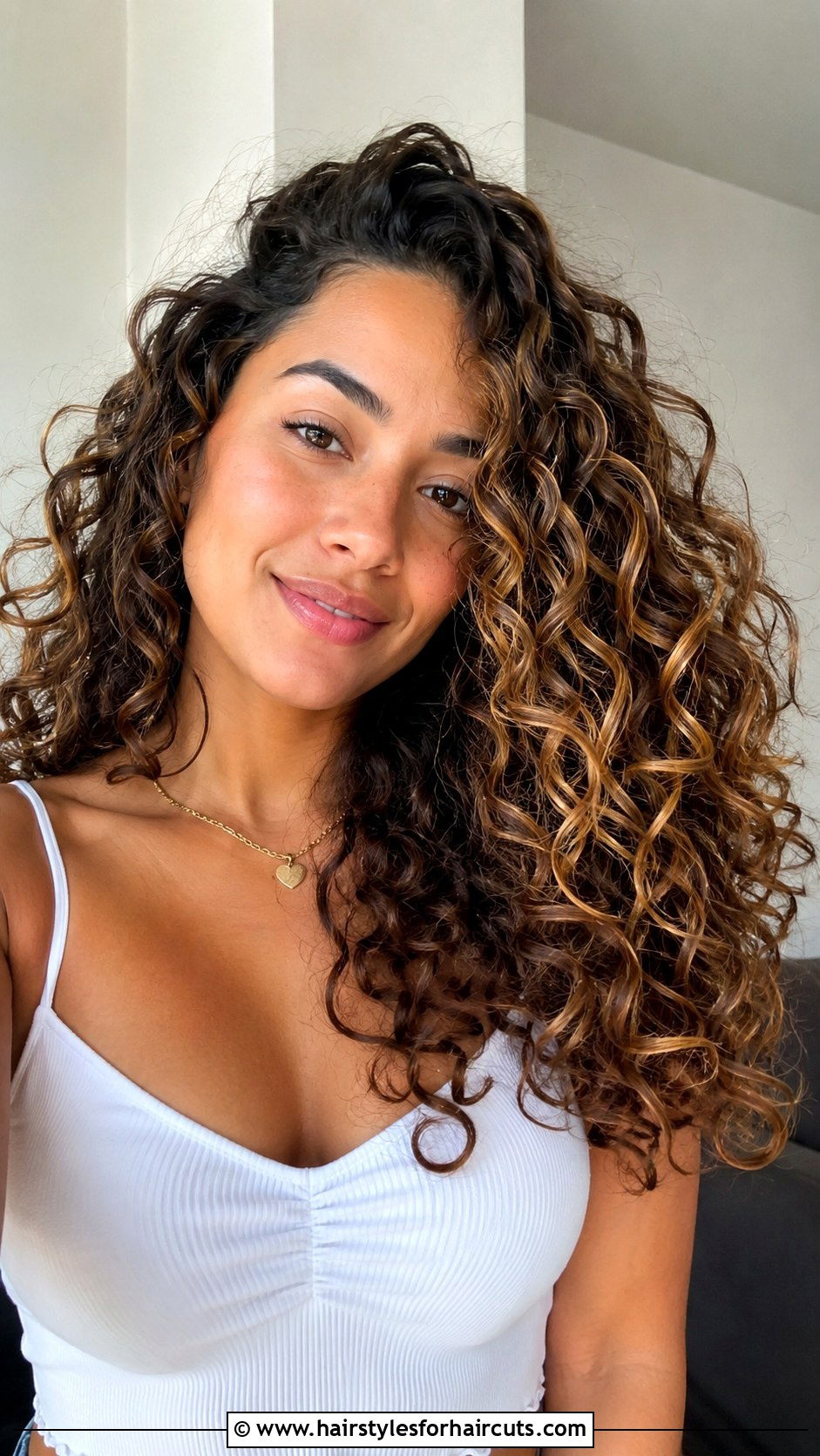 Sun Kissed Balayage Dark Curly Hair - 25 balayage hairstyles for dark hair - 25 balayage hairstyles for dark hair