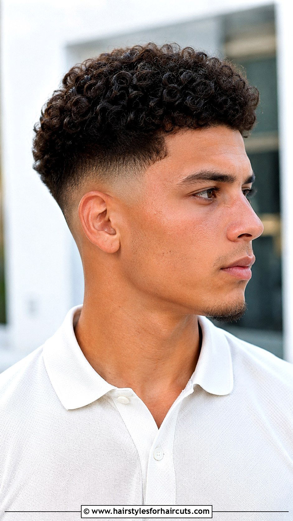 Tapered Curly Fade - 25 curly haircuts tampa - 25 curly haircuts tampa