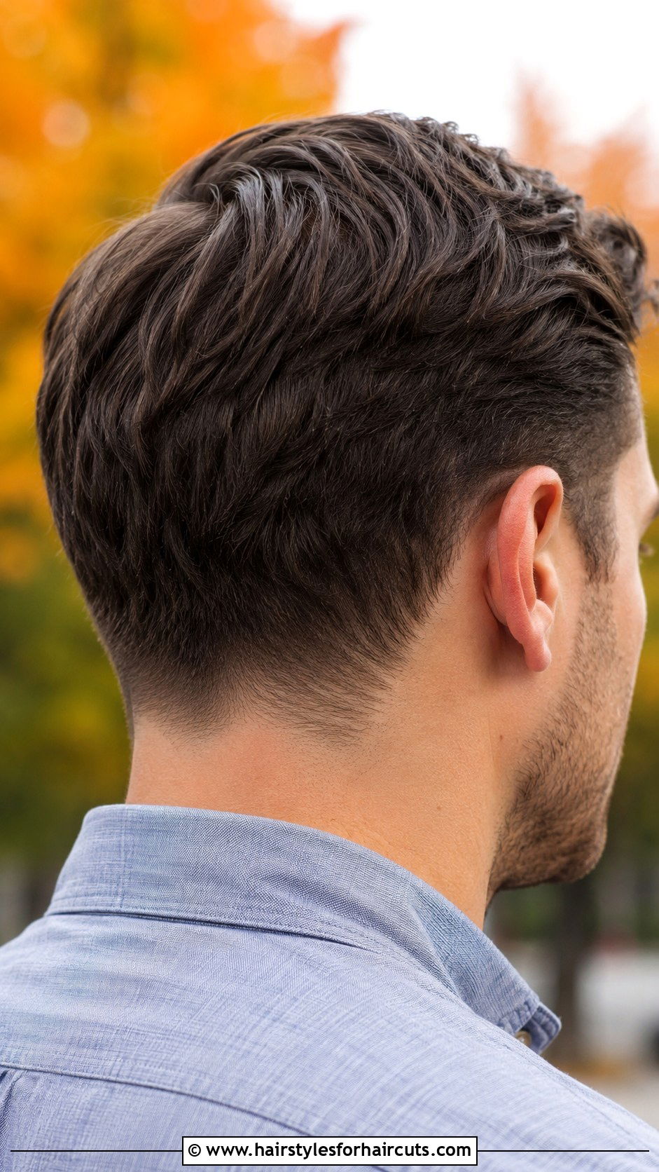Tapered Haircut - 25 haircuts academy - 25 haircuts academy