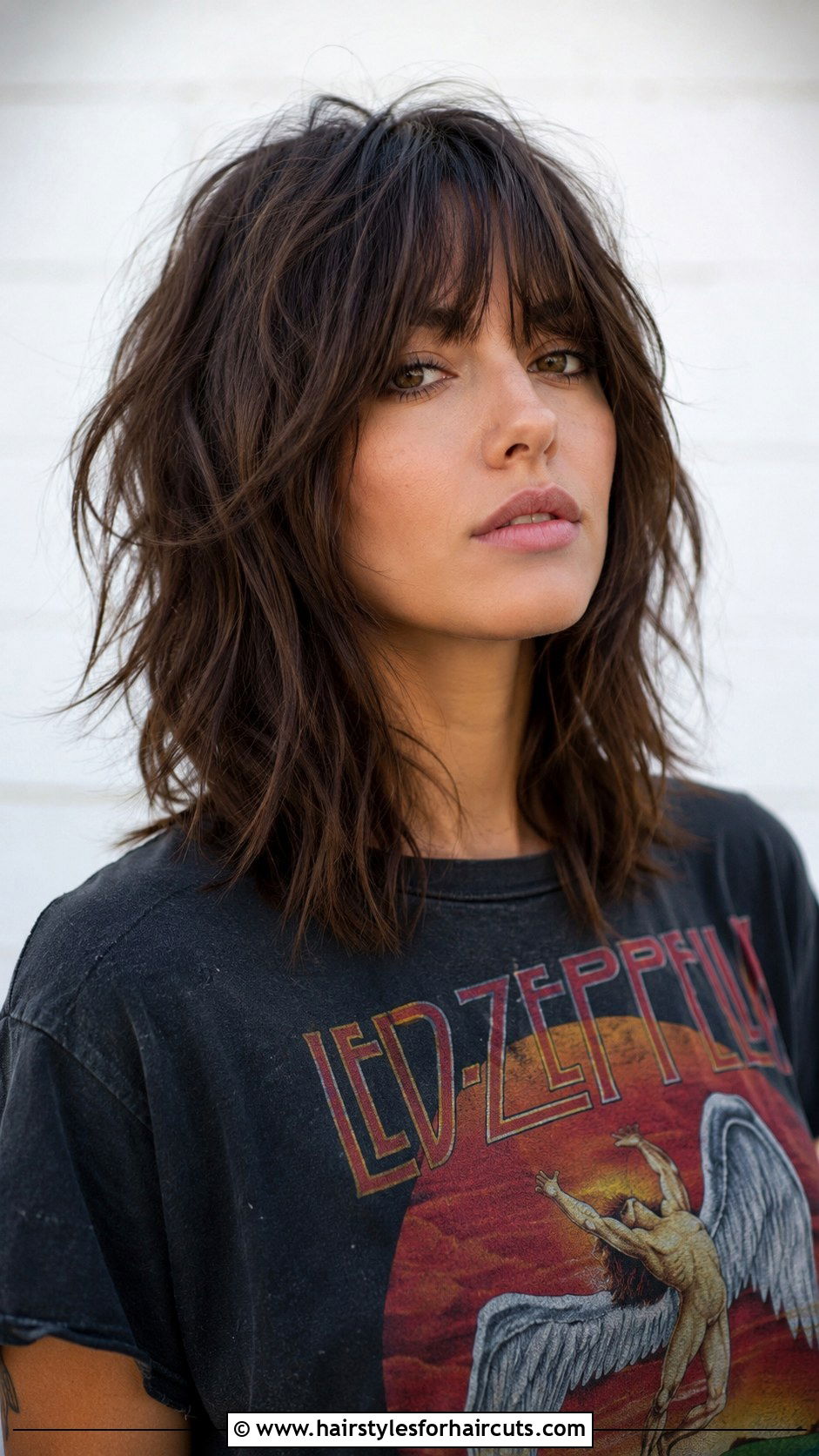 Texturized Shag - 25 good haircuts for straight thin hair - 25 good haircuts for straight thin hair