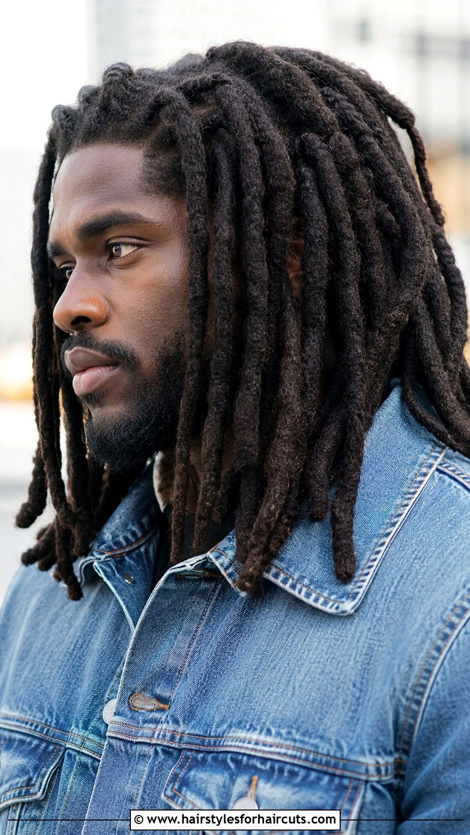 Thick Dreadlocks - 25 dread haircuts - 25 dread haircuts