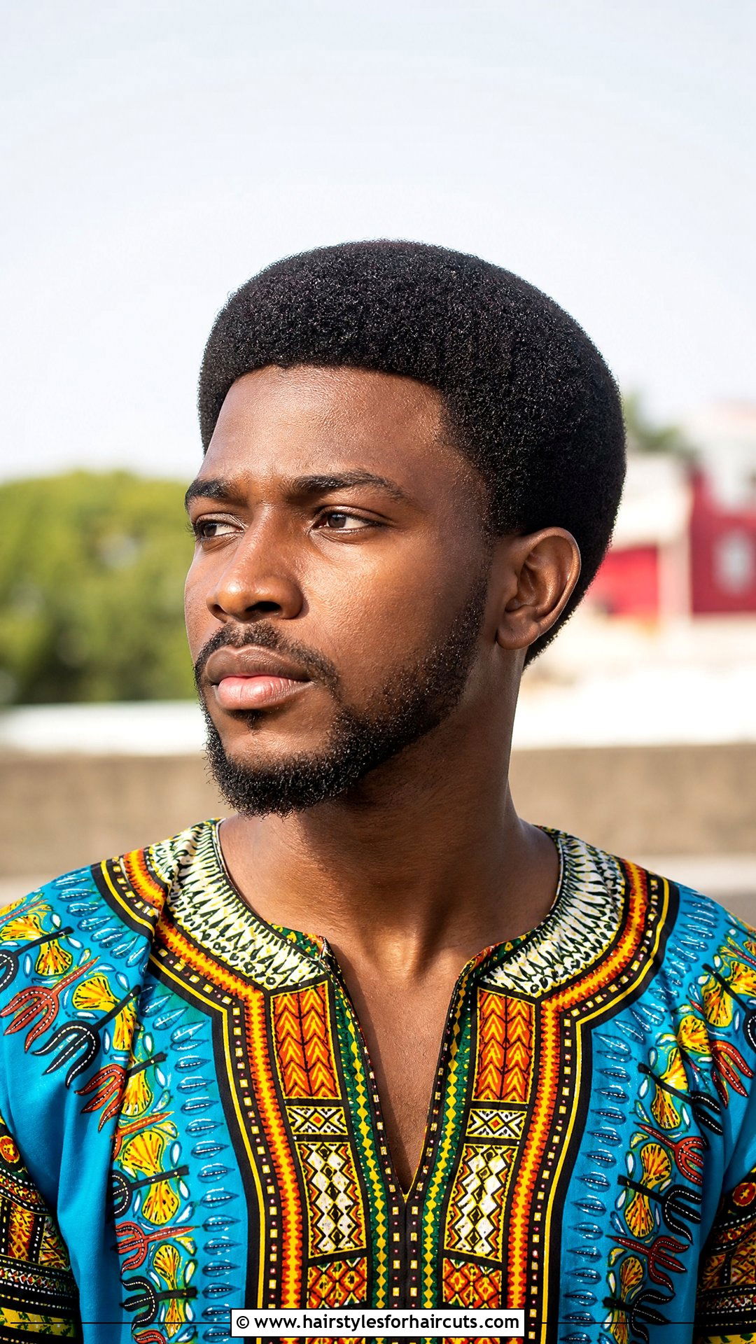 Trimmed Afro - 25 trim hairstyles - 25 trim hairstyles