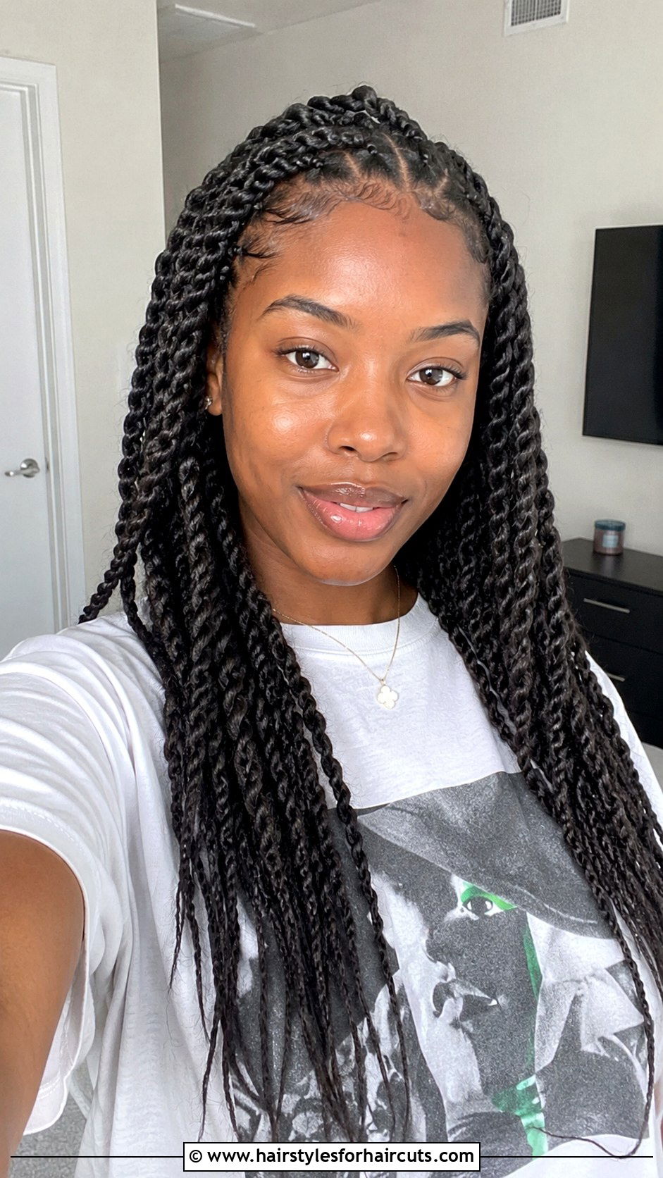 Two Strand Twist Braids - 25 70s braided hairstyles black hair - 25 70s braided hairstyles, black hair