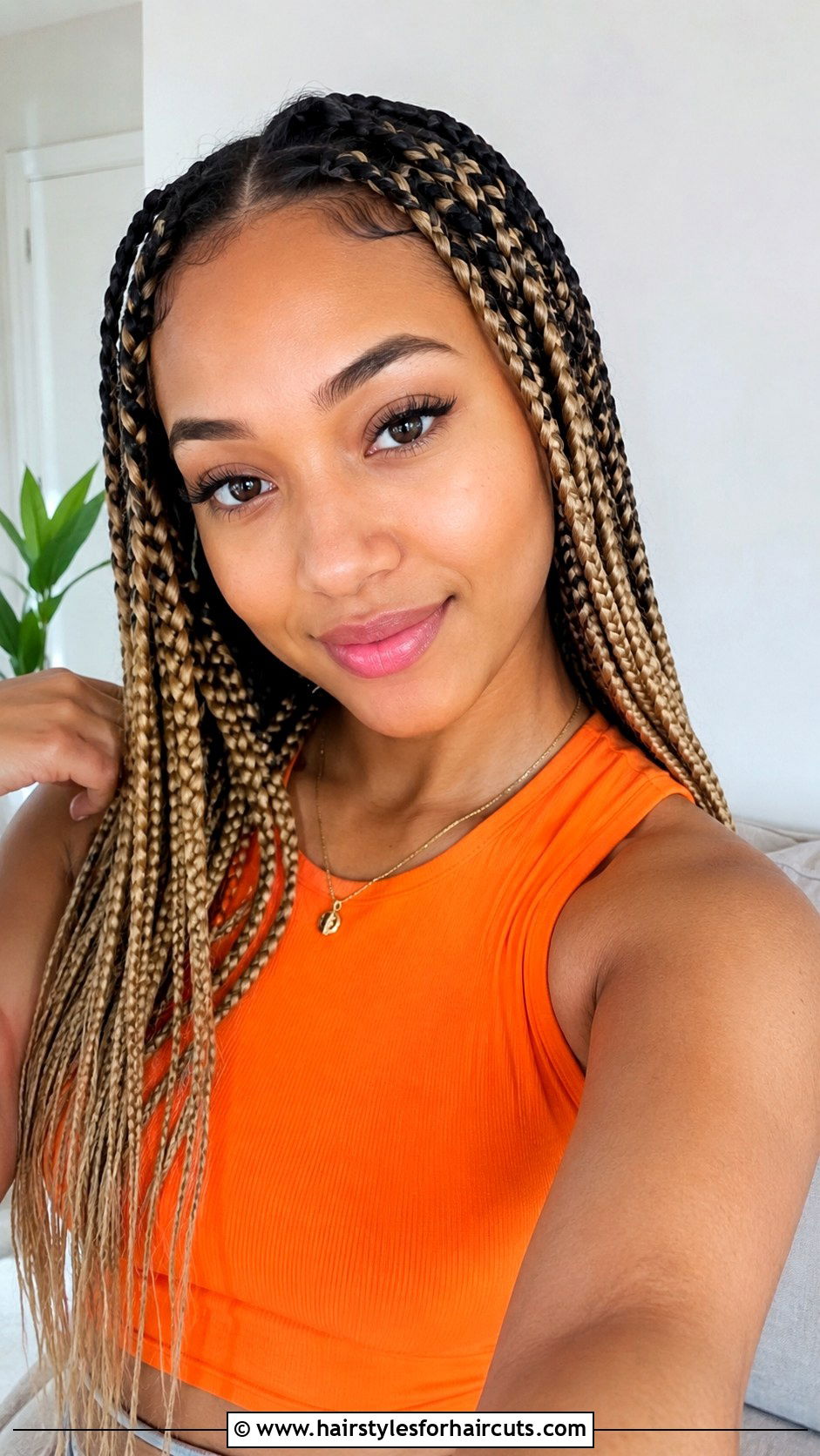 Two Tone Box Braids - 25 african american braid hairstyles for thin hair - 25 african american braid hairstyles for thin hair