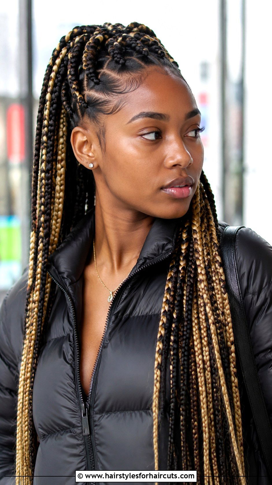 Two Tone Braids - 25 braid hairstyles for curly hair - 25 braid hairstyles for curly hair