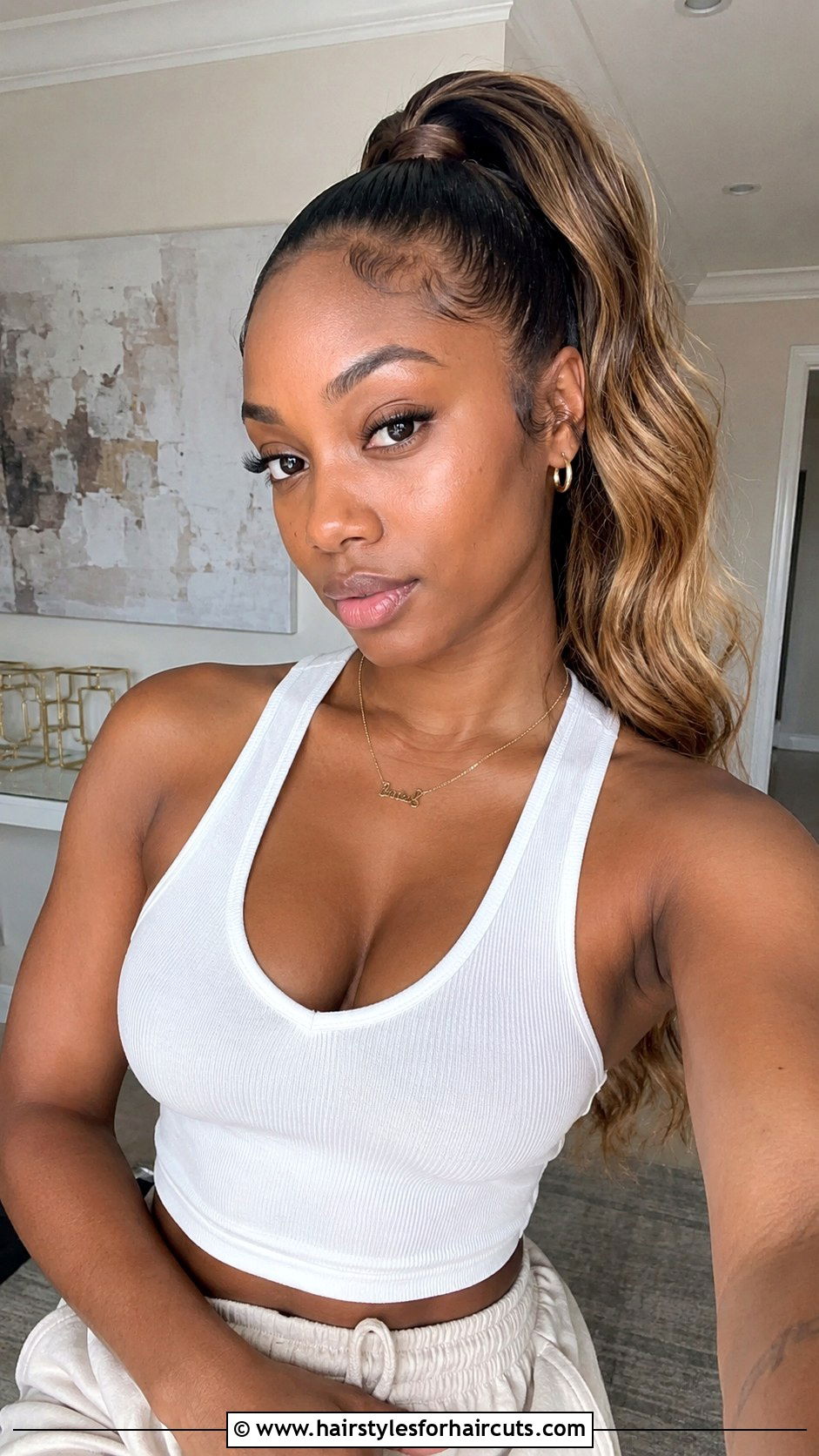 Two Tone Colored Ponytail - 25 90s ponytail hairstyles black hair - 25 90s ponytail hairstyles black hair