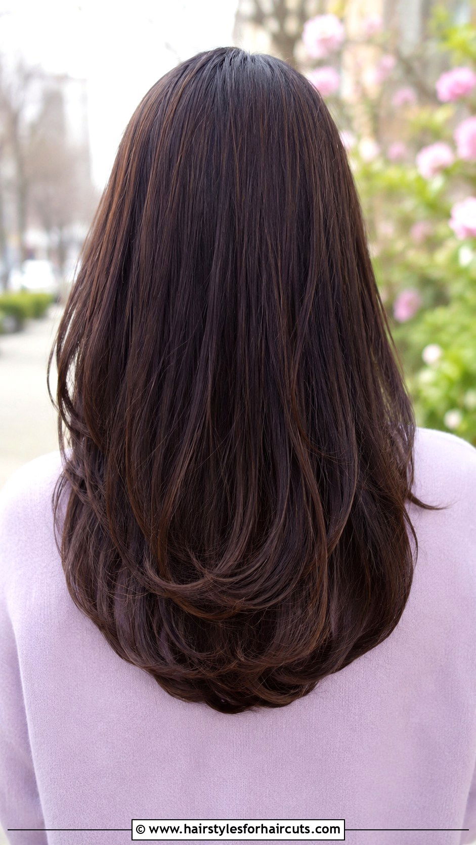 U Shaped Back Haircut - 25 haircuts manchester ct - 25 haircuts manchester ct