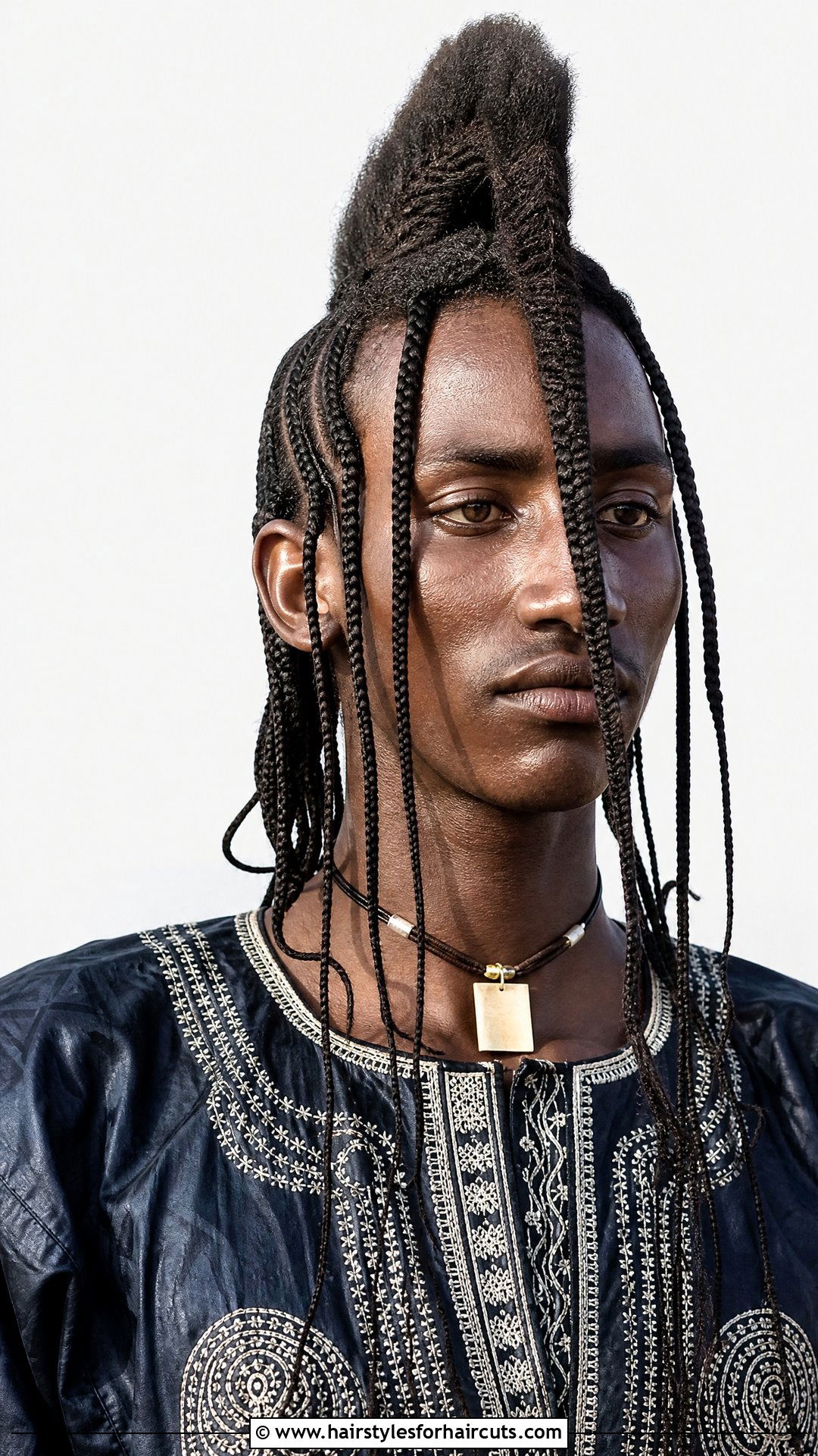 Wodaabe Braided Crest Hairstyle - 25 ancient african hairstyles - 25 ancient african hairstyles