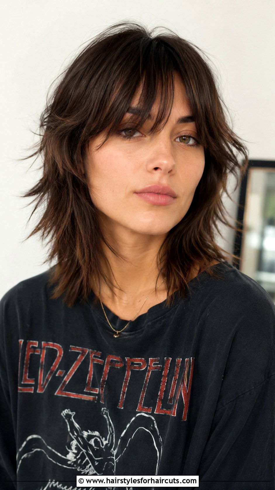 Wolf Cut - 25 haircuts meaning - 25 haircuts meaning