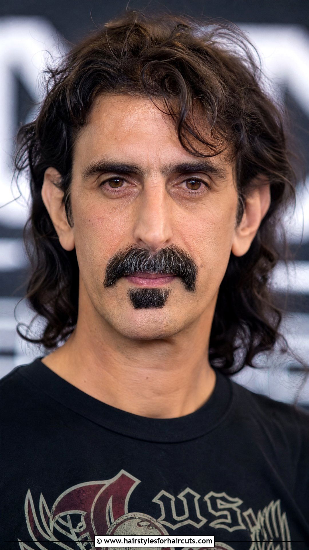 Zappa Mustache And Soul Patch - 25 funny facial hairstyles - 25 funny facial hairstyles
